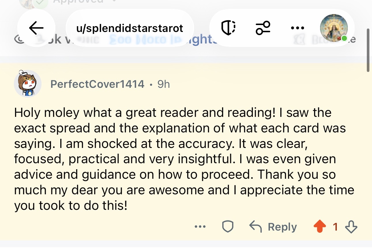 In-Depth Reading Reviews - Splendid Stars